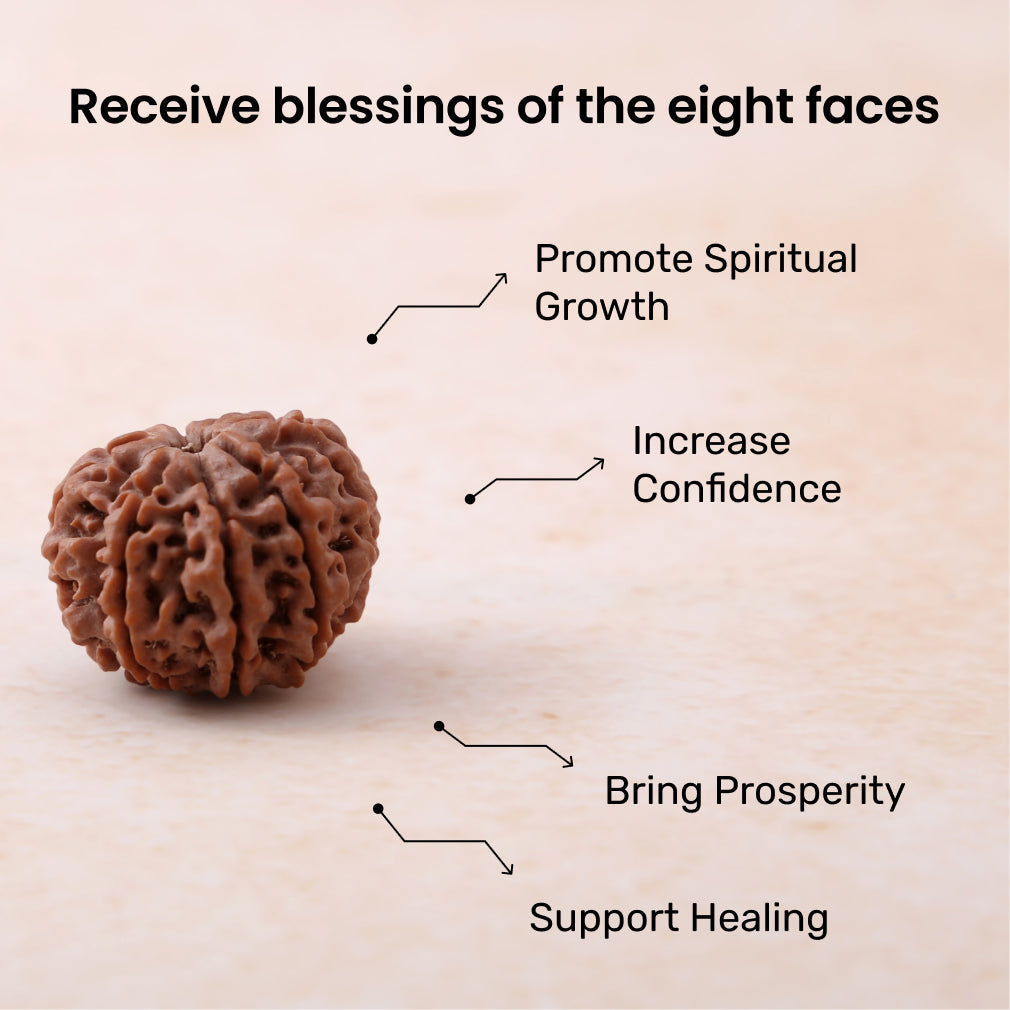 🔱🧿 Siddh 8 Mukhi Rudraksha | Lord Ganesha + Obstacle Remover 🔱✨