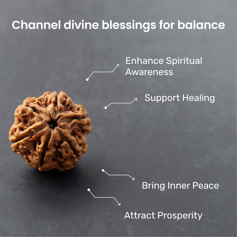 ✨🔱 Siddh 6 Mukhi Rudraksha | Lord Kartikeya + Willpower & Creativity 🔱✨
