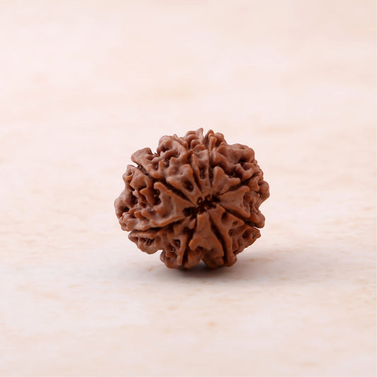 🔱🧿 Siddh 8 Mukhi Rudraksha | Lord Ganesha + Obstacle Remover 🔱✨