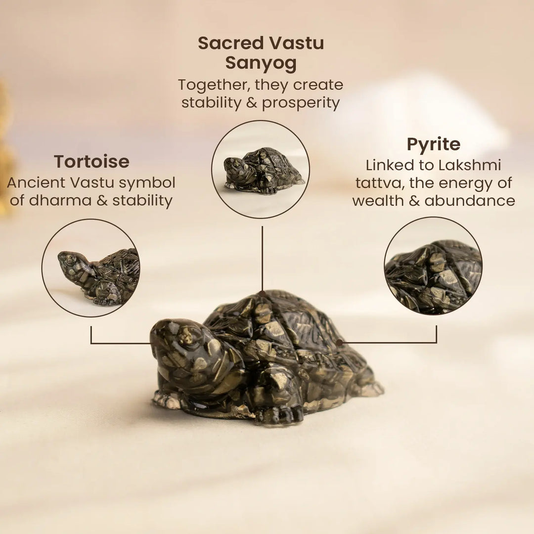 🐢 Pyrite Tortoise for Wealth & Career Growth | Vastu Pyrite  Kachua ✨