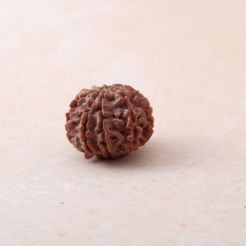🧿🔱 Siddh 9 Mukhi Rudraksha | Maa Durga + Shakti & Fearlessness 🔱🧿