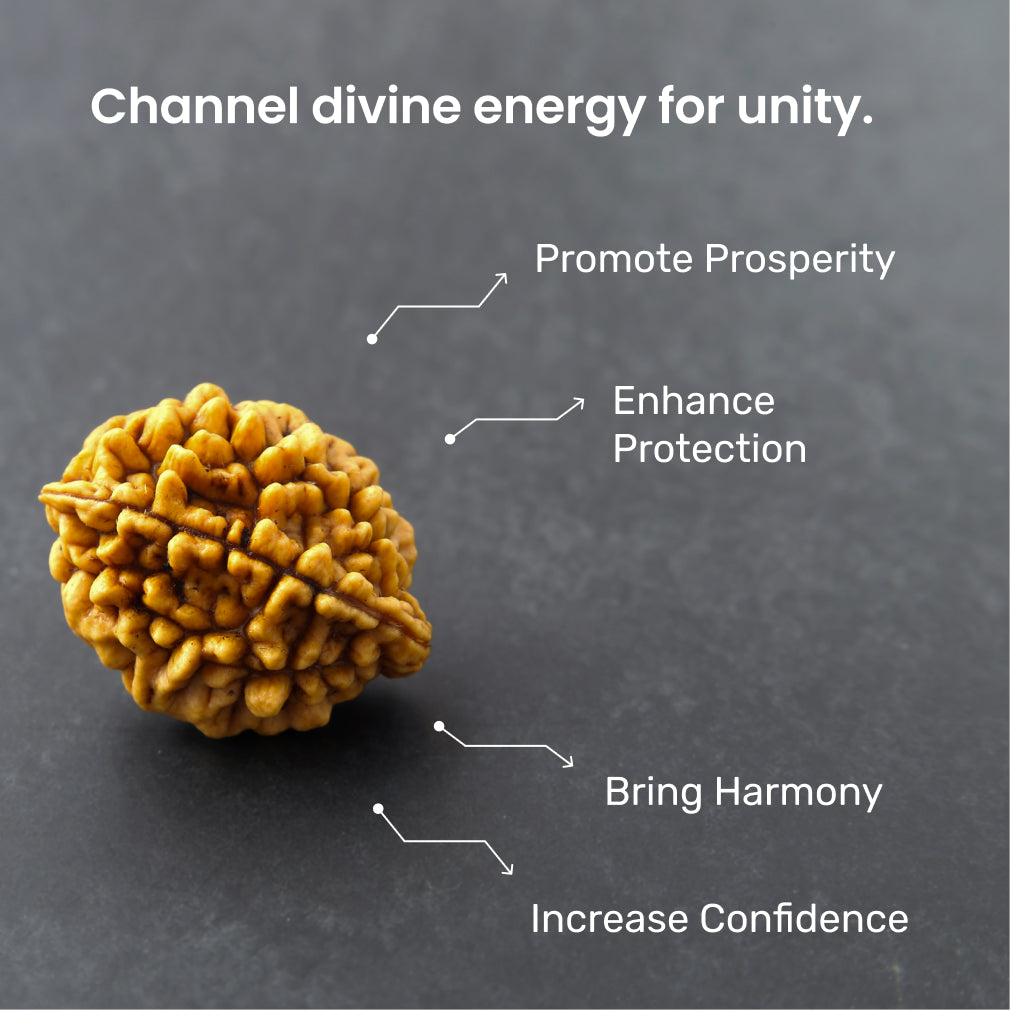🩷✨Siddh 2 Mukhi Rudraksha+ | Lord Ardhanarishvara + Love & Unity ✨🩷