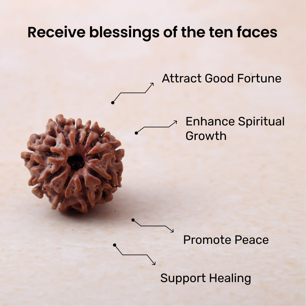 Siddh 10 Mukhi Rudraksha | Lord Vishnu + All-Round Protection 🔱✨