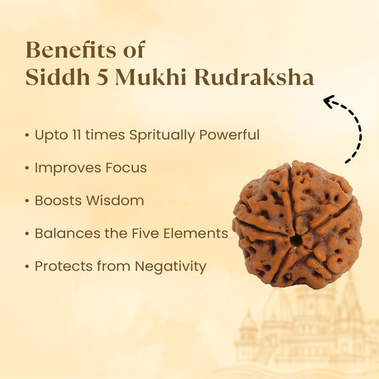 100% Natural Nepali 5 Mukhi Rudraksh with Lab Certificate.
Jupiter's Blessing for Peace, Health & Success.
