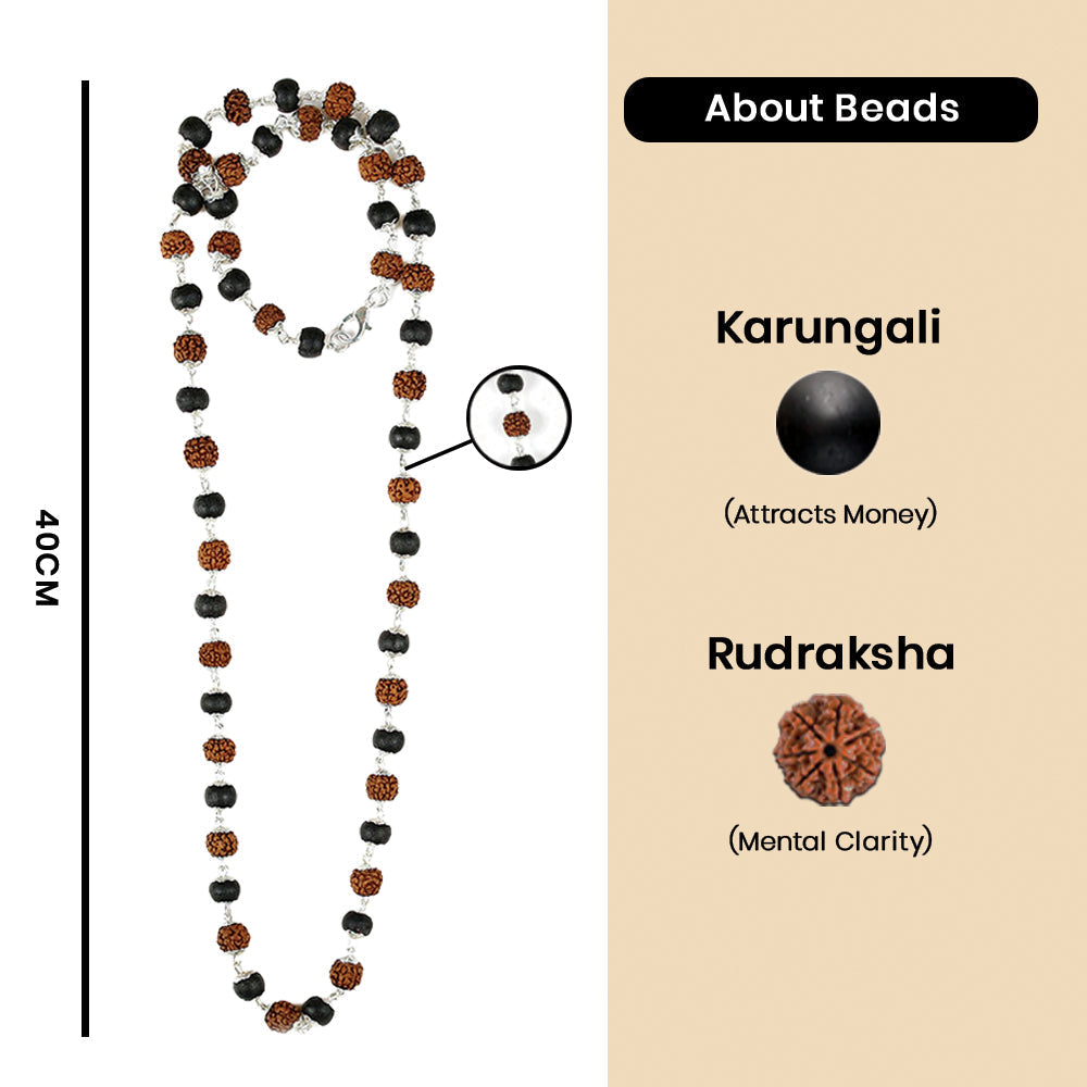 📿 Rudraksha Karungali Mala 54 Beads 8mm 🔱✨