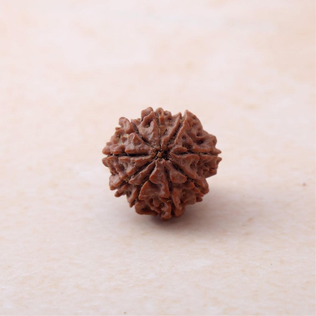 🧿🔱 Siddh 9 Mukhi Rudraksha | Maa Durga + Shakti & Fearlessness 🔱🧿