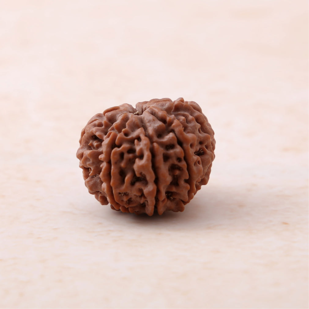 🔱🧿 Siddh 8 Mukhi Rudraksha | Lord Ganesha + Obstacle Remover 🔱✨