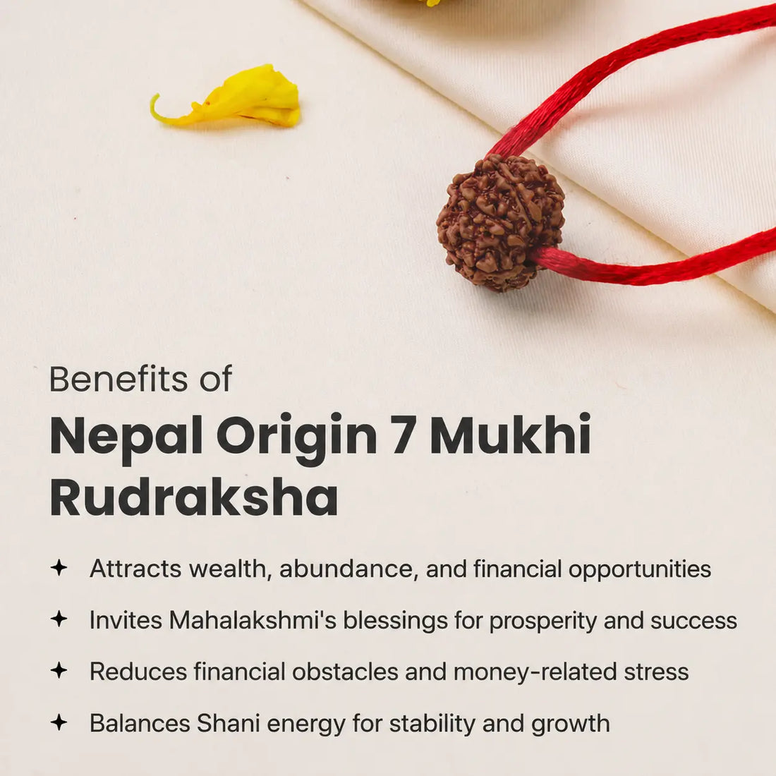 ✨Nepal Original 7 Mukhi Rudraksha ✨ | Wealth, Luck & Maa Lakshmi Bead💰